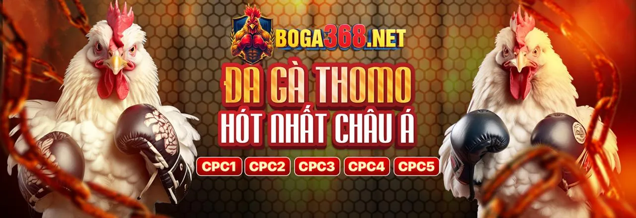 Sân đá gà trực tuyến sôi động tại Kuwin2 Login